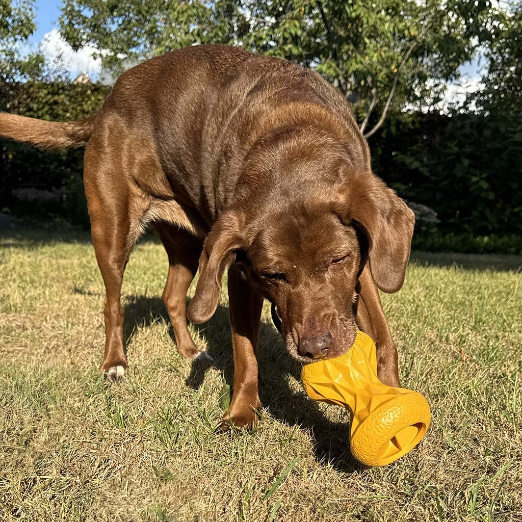Duvo+ Feeding Griplay Hourglass Yellow - Dog Toy 12x8.6x8.6cm