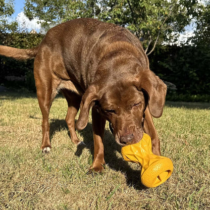 Duvo+ Feeding Griplay Hourglass Yellow - Dog Toy 12x8.6x8.6cm
