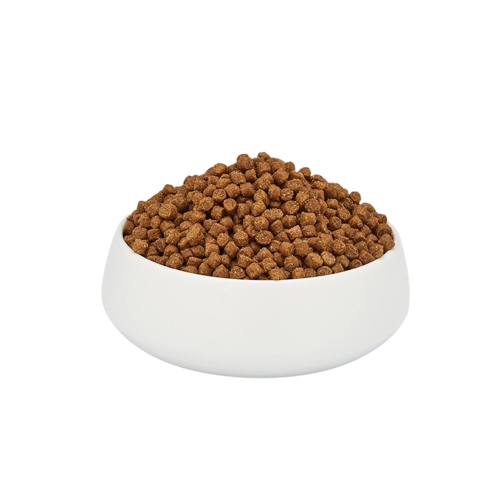Schesir Cat Dry Food Maintenance with Chicken-Adult[Weight - 10kg]