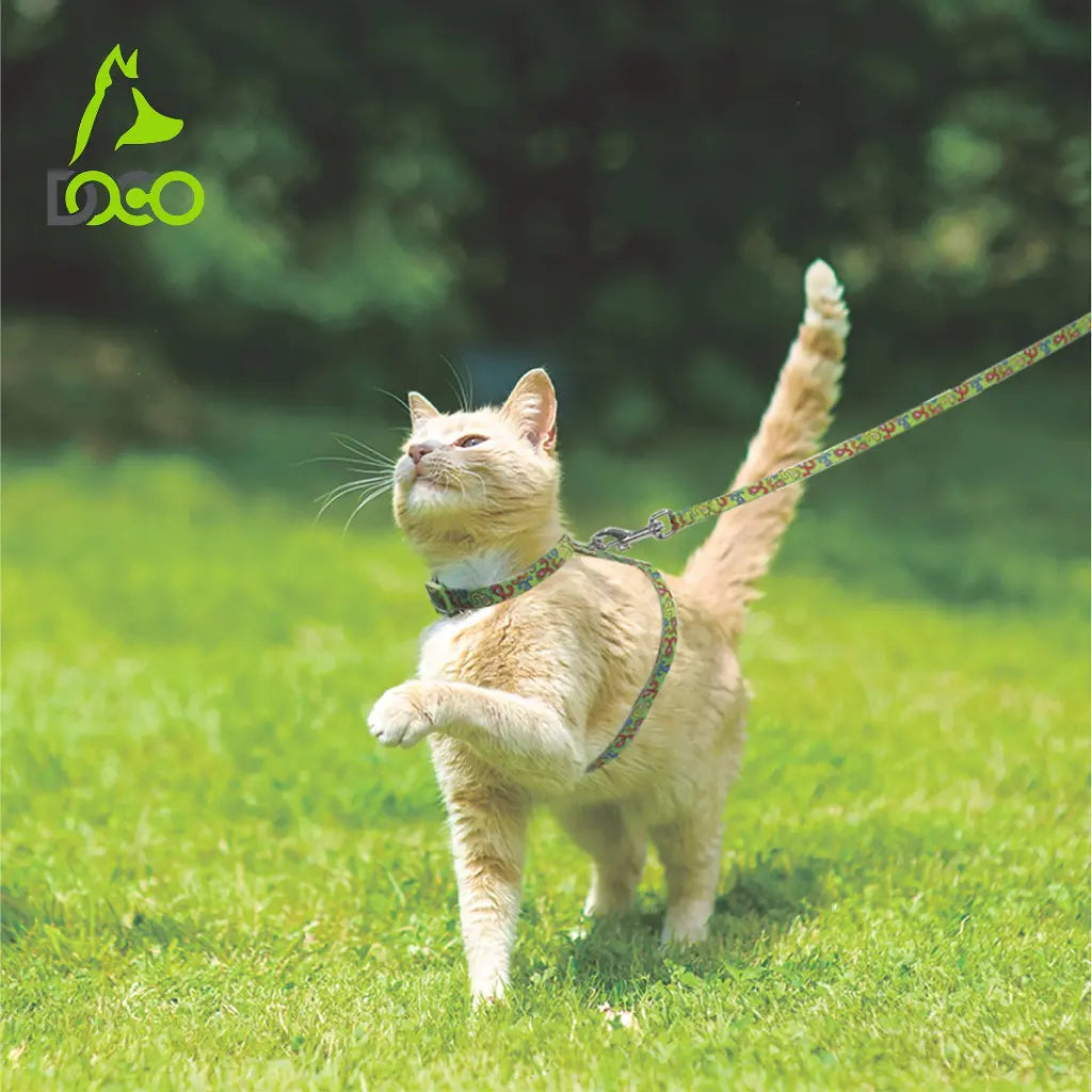 DOCO LOCO Cat Harness + Leash 6ft [Neck1x19-27cm; Chest1x28.5-46cm] O2