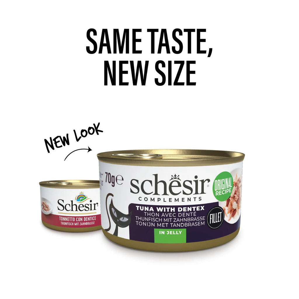 Schesir Complements Cat Wet Food  in Jelly Can- Tuna With Dentex 6x70g