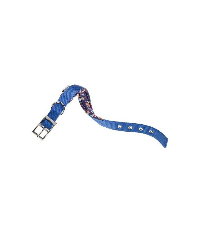 Ferplast Daytona Fantasy Collar[Color - Blue, Dimension - 37-45cm x 25mm]