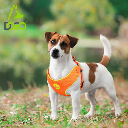 DOCO Reflective Chest Plate Mesh Free- Walking Harness Medium-54 x 60-70cm-Turquoise