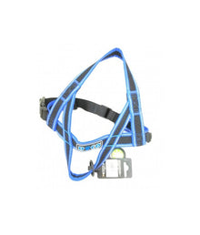 Doco Athletica City Walker Mesh Harness (DCA207)[Color - Blue, Size - M/L]