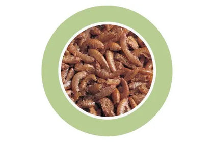 Padovan Gammarus[Volume - 250ml, Weight - 30g]