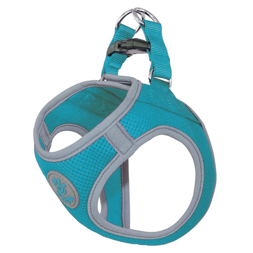 DOCO Athletica QUICK FIT Reflective Harness - [Turquoise, Size - M]