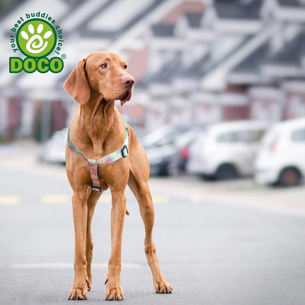 DOCO LOCO Step-In Harness-2.0 x 51-74cm FM