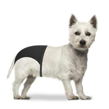 Duvo+ Dog Pants S 24-31cm