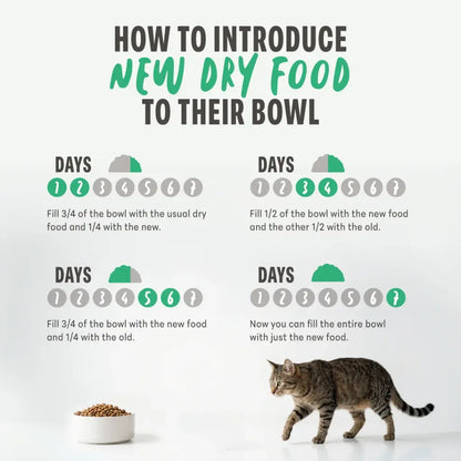 Schesir Monoprotein Kitten & Mother Dry Cat Food – Fresh Chicken-10kg