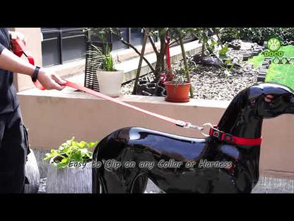 DOCO Signature Nylon Leash - 4ft-1.5 x 120cm(S)-Black