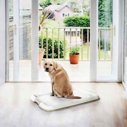 Duvo+ Pet Pad Large (30pcs) 45 x 60cm[Dimension - 45 x 60cm]