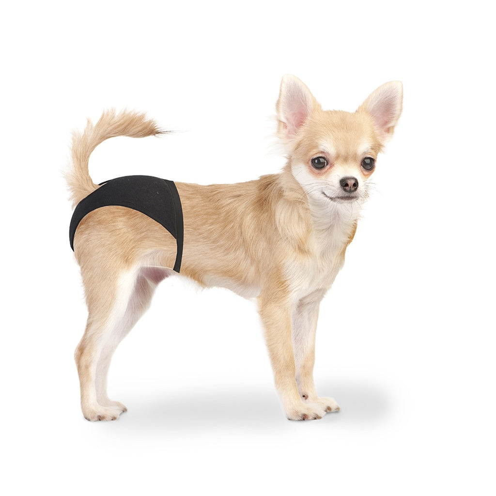 Duvo+ Dog Pants M 32 - 39cm