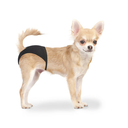 Duvo+ Dog Pants M 32 - 39cm