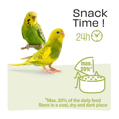 Witte Molen Puur Sticks With Rosehip & Apple For Budgie - [Weight - 60g]