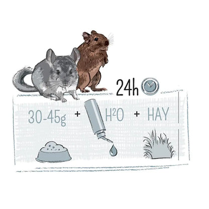 Witte Molen Puur Chinchilla & Degu 2kg[Weight - 2kg]
