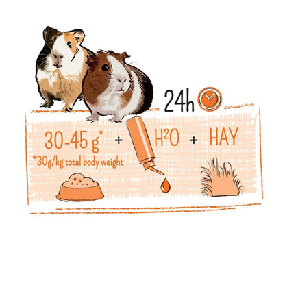Witte Molen Puur Guinea Pig[Weight - 700g]