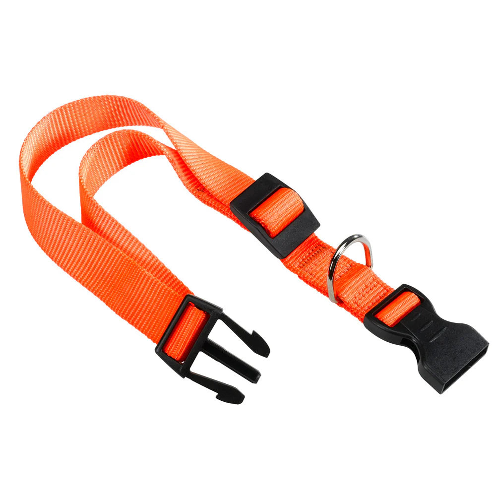 Ferplast Club C Nylon Collar For Dogs[Color - Orange, Dimension - 36-56cm x 20mm]