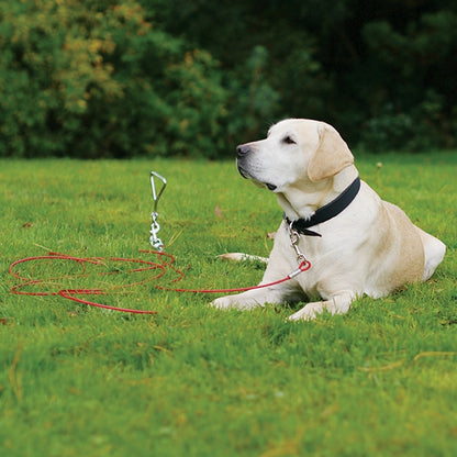Duvo+ Tie Out Stake 40cm