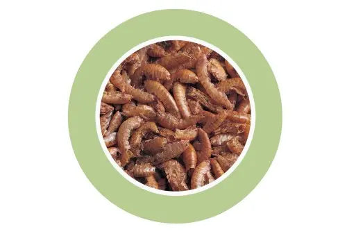 Padovan Gammarus[Volume - 1L, Weight - 130g]