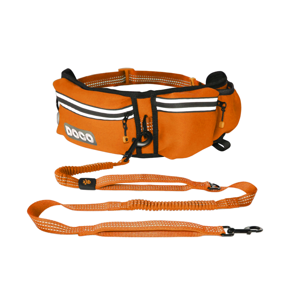 DOCOÂ® Lite Reflective Jogging Belt With Reflective Bungee [Bag:2.5 x 76-107cm ; Leash: 2.5 x 130-150cm]-Safety Orange