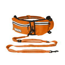 DOCOÂ® Lite Reflective Jogging Belt With Reflective Bungee [Bag:2.5 x 76-107cm ; Leash: 2.5 x 130-150cm]-Safety Orange