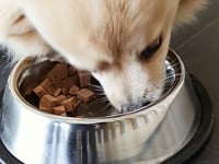Duvo+ Sausage For Dogs - 200g [Beef & Parsnip]