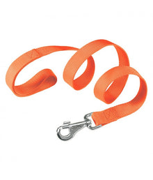 Ferplast Club G Nylon Dog Leash[Color - Orange, Dimension - 15mm x L 120cm]