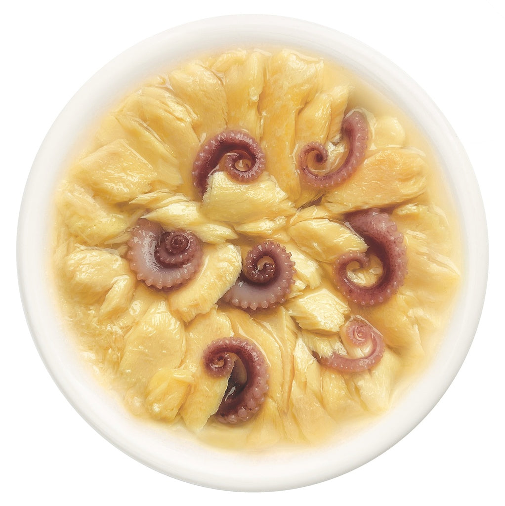Cat Fest Salmon With Octopus In Tender Jelly For Cats 70g