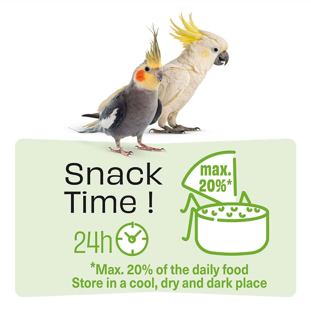 Witte Molen Puur Sticks With Kiwi & Eucalyptus For Large Parakeet - [Weight - 150g]