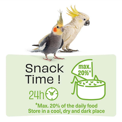 Witte Molen Puur Sticks With Kiwi & Eucalyptus For Large Parakeet - [Weight - 150g]