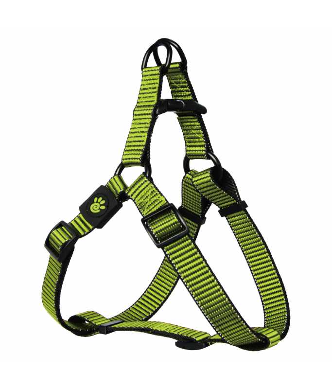 DOCOÂ® Martini Bean Harness (DCS205)[Size - M, Color - Lemon]
