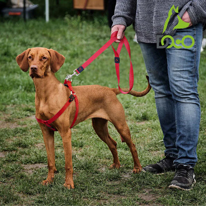DOCO Signature Nylon Leash - 4ft-1.0 x 120cm(XS)-Red