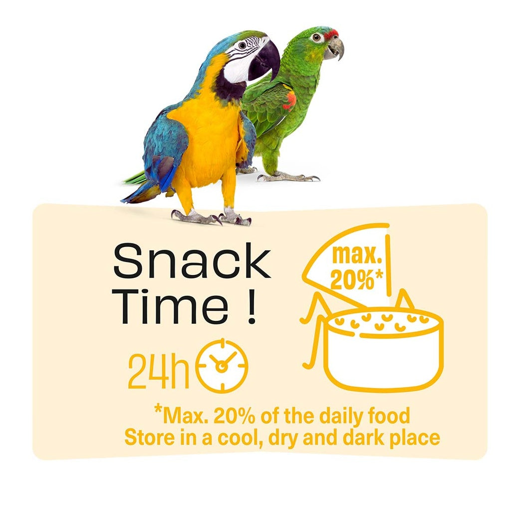 Witte Molen Puur Sticks With Peanut & Pineapple For Parrot -[Weight - 170g]