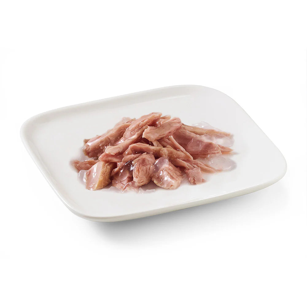 Schesir Dog Wet Food in Jelly Can-Tuna 150g