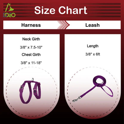 DOCO Signature Cat Harness + Leash 6ft [Neck1x19-27cm; Chest1x28.5-46cm]-Grey