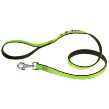 Ferplast Dual Pyramid G Nylon Dog Leash[Color - Green, Dimension - 20mm x L 120cm]