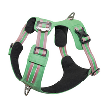 DOCOÂ® VERTEX Reflective Ultralight Mesh Harness X.Large [Neck 58-69cm;Chest 72]-Salt Lake