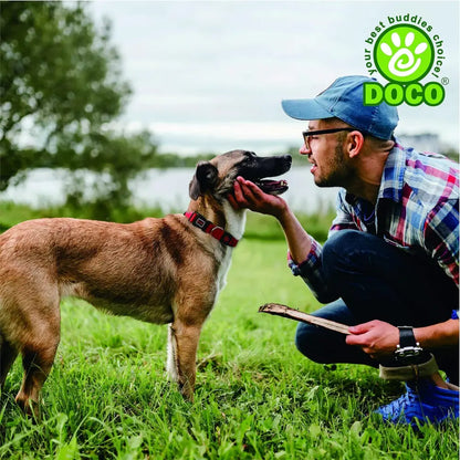 DOCO Signature O - Ring Collar - 1.0 x 21-30cm[Color - Maroon, Size - XS]