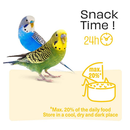 Witte Molen Puur Sticks With Orange & Mango For Budgie - [Weight - 60g]