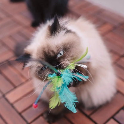 Duvo Assortment Playing Rod With Feathers Mixed Colors - Cat Toy - [Dimension - 62 x 3 x 1.5cm]