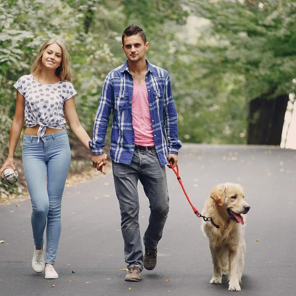 DOCO® 20" Rope Leash With ErgoCurve™ Foam Handle Ver.2 Large -Ø13mm x 50cm-Blue