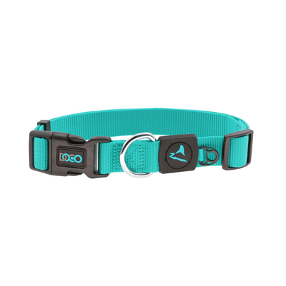DOCO Signature Nylon Collar - 2.0 x 34-51cm[Color - Turquoise, Size - M]