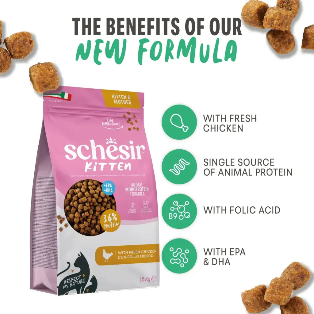 Schesir Monoprotein Kitten & Mother Dry Cat Food – Fresh Chicken-10kg