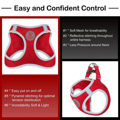 DOCO Athletica QUICK FIT Mesh Harness - [Black, Size - M]