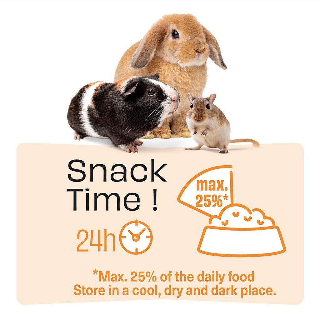 Witte Molen Chew Sticks With Banana & Apple For Rabbit & Small Animals - [Weight - 180g]