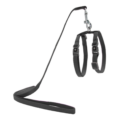 DOCO Signature Cat Harness + Leash 6ft [Neck1x19-27cm; Chest1x28.5-46cm]-Grey
