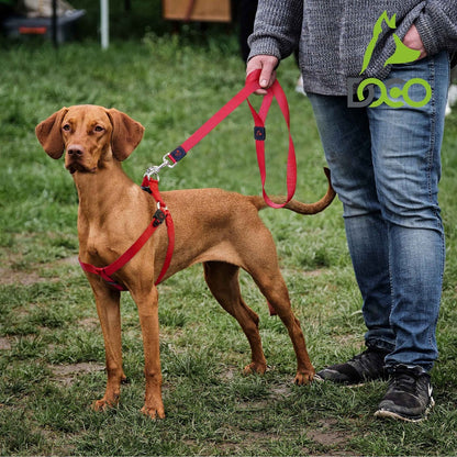 DOCO Signature Nylon Leash - 6ft-1.5 x 180cm (S)-Turquoise