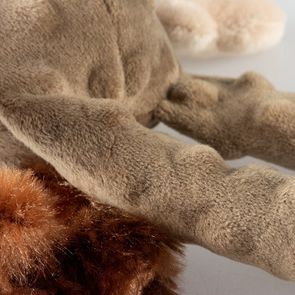 Duvo+ Plush Bear Crackle Dog Toy 34x21x8cm Brown