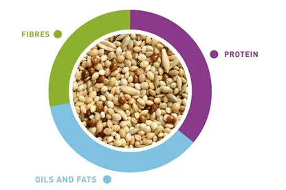Padovan Naturalmix Cocorite[Weight - 1kg]