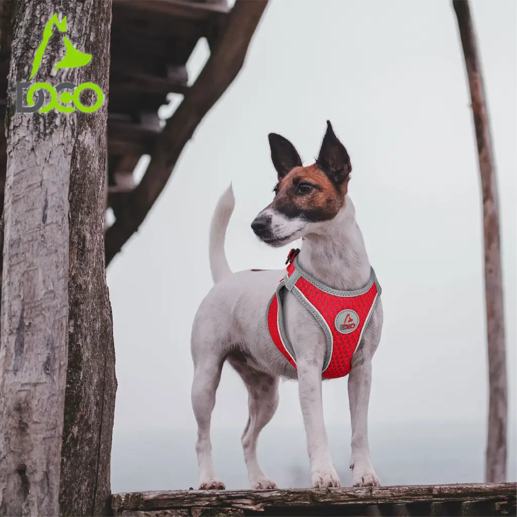 DOCO NET Mesh Sport Harness Medium-41-44cm / 4.5-7kg-Maroon